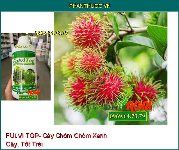 FULVI TOP- Ra Đọt, Vọt Hoa, Kích Rễ, Phì Trái, Xanh Lá Trên Cây Trồng