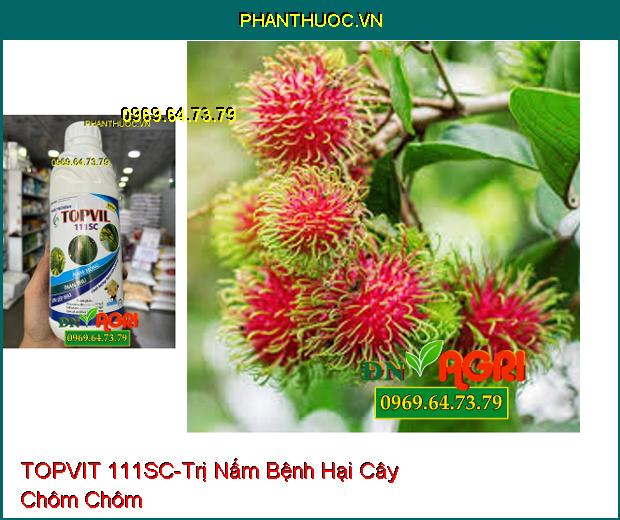 THUỐC TRỪ BỆNH TOPVIT 111SC- Chuyên Trị Nấm Hồng, Thán Thư, Lem Lép Hạt