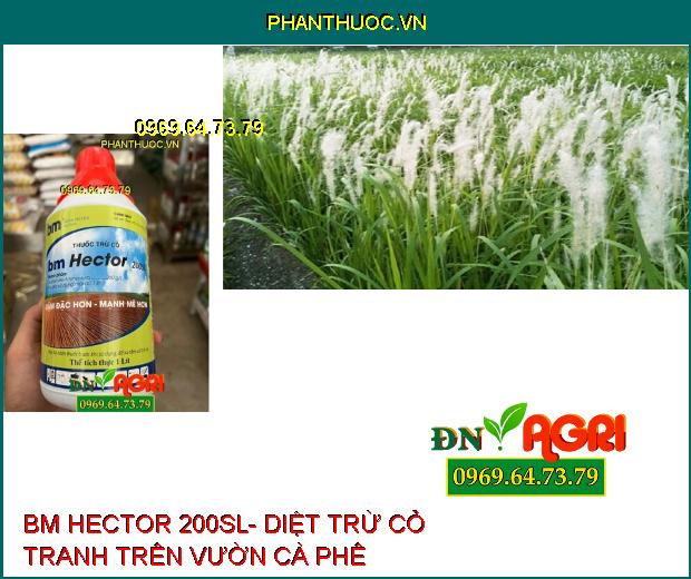 BM HECTOR 200SL- Thuốc Diệt Cỏ không Chọn Lọc , Diệt Cỏ Tranh, Mần Trầu