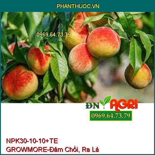 PHÂN BÓN LÁ NPK 30-10-10 +TE GROWMORE- Đẻ Nhánh, Đâm Chồi, Ra Lá Tốt