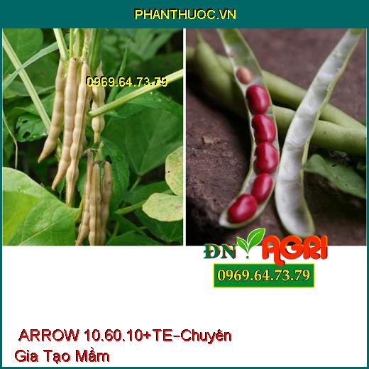 PHÂN BÓN LÁ HỖN HỢP NPK ARROW 10.60.10+TE –Chuyên Gia Tạo Mầm, Hạn Chế Sâu Bệnh