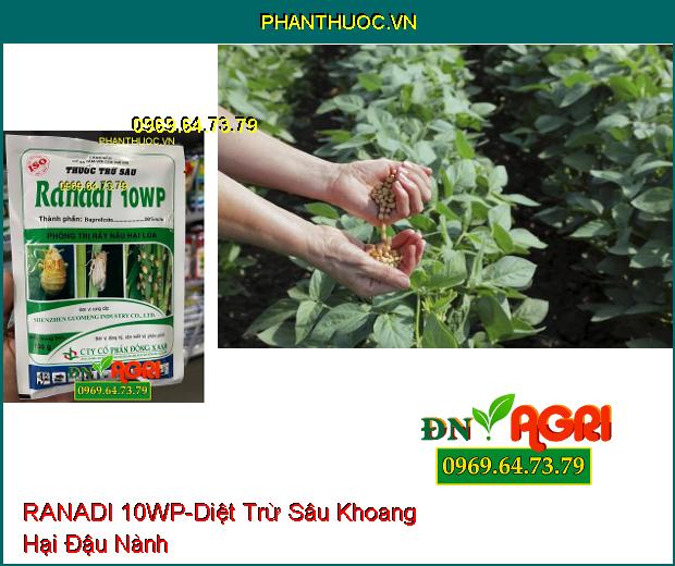 THUỐC TRỪ SÂU RANADI 10WP – Thuốc Trừ Sâu, Đặc Trị Rầy Nâu Hại Lúa