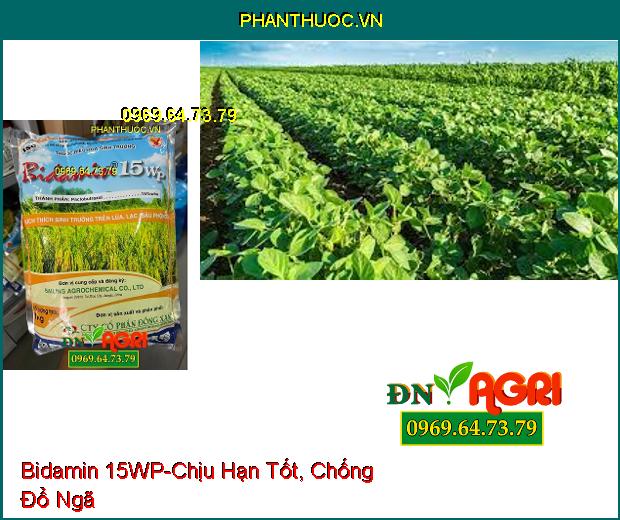 THUỐC ĐIỀU HÒA SINH TRƯỞNG Bidamin 15WP - Kích Thích Ra Hoa Trái Vụ