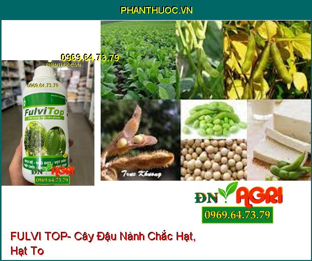 FULVI TOP- Ra Đọt, Vọt Hoa, Kích Rễ, Phì Trái, Xanh Lá Trên Cây Trồng