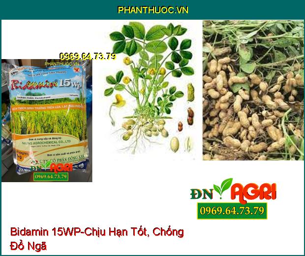 THUỐC ĐIỀU HÒA SINH TRƯỞNG Bidamin 15WP - Kích Thích Ra Hoa Trái Vụ