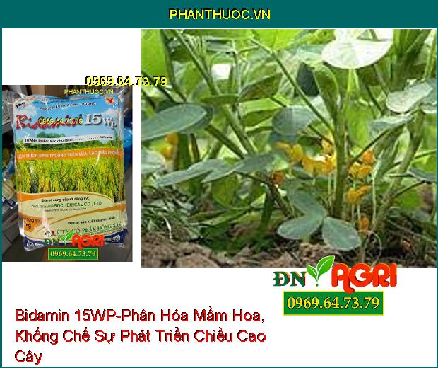 THUỐC ĐIỀU HÒA SINH TRƯỞNG Bidamin 15WP - Kích Thích Ra Hoa Trái Vụ