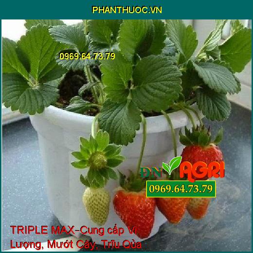 PHÂN BÓN LÁ HỮU CƠ KHOÁNG TRIPLE MAX –Cung cấp Vi Lượng, Mướt Cây, Trĩu Qủa