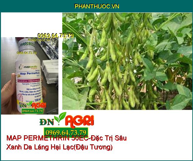 THUỐC TRỪ SÂU MAP PERMETHRIN 50EC- Đặc Trị Sâu Cuốn Lá, Rệp Sáp, Bọ Trĩ, Sâu Đục Quả