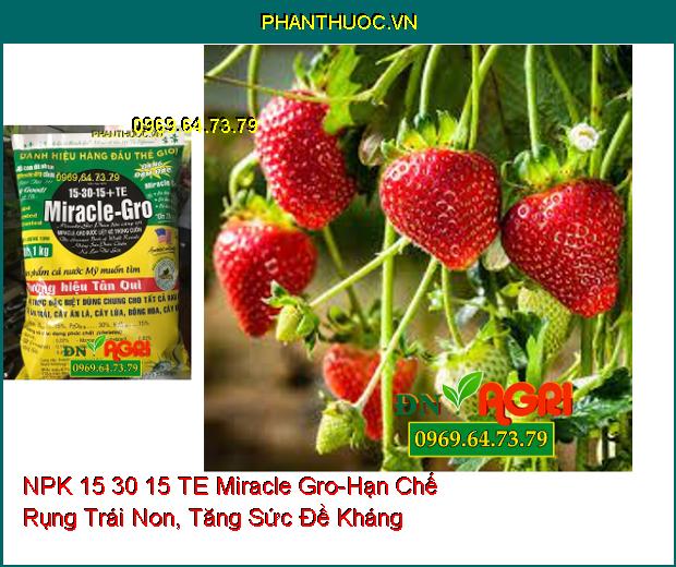 PHÂN BÓN HỖN HỢP NPK 15 30 15 TE Miracle Gro-Phát Triển Rễ , Hạn Chế Rụng Trái Non