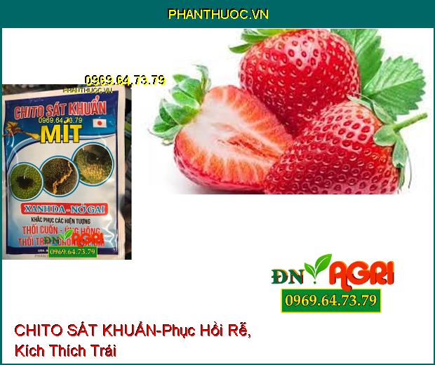 PHÂN BÓN VI LUỢNG CHITO SÁT KHUẨN-Phục Hồi Rễ, Kích Thích Trái