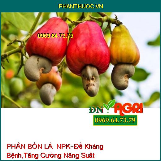 PHÂN BÓN LÁ HỖN HỢP NPK –Đề Kháng Bệnh, Tăng Cường Năng Suất , Chất Lượng