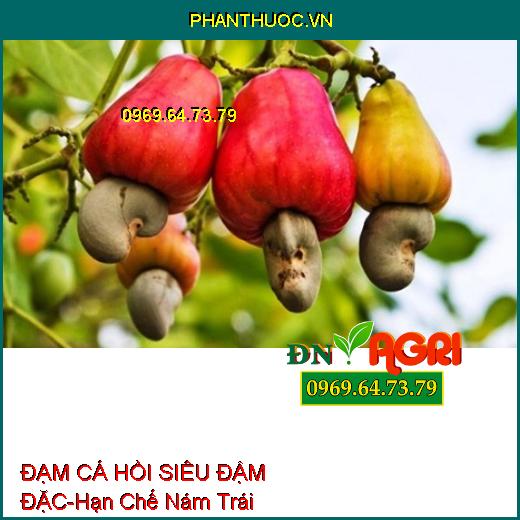 PHÂN BÓN HỮU CƠ ĐẠM CÁ HỒI SIÊU ĐẬM ĐẶC-Hạn Chế Nám Trái, Nâng Cao Năng Suất