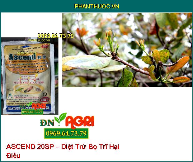 THUỐC TRỪ SÂU ASCEND 20SP – Diệt Trừ Sâu, Rầy Nâu, Rệp Sáp, Bọ Trĩ