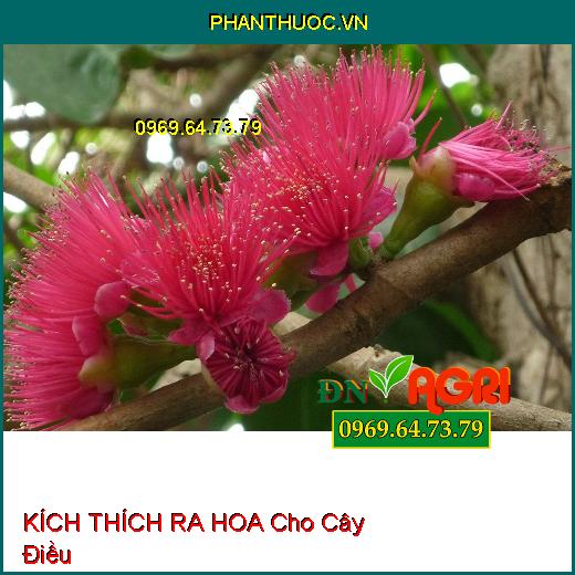 PHÂN BÓN LÁ KÍCH THÍCH RA HOA, ĐẬU TRÁI TỔNG HỢP