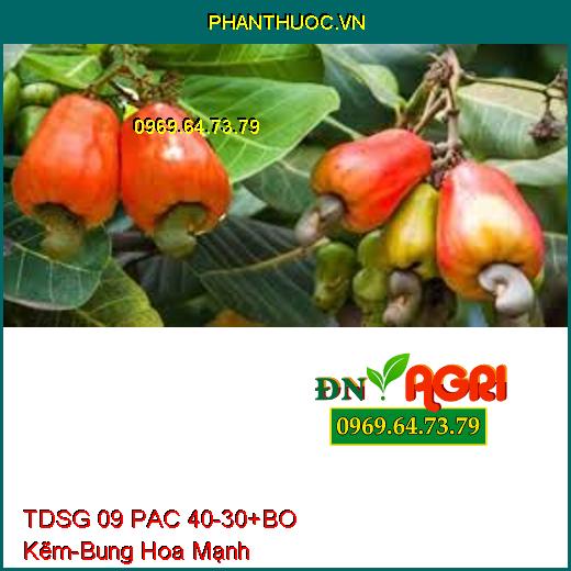 TDSG 09 PAC 40-30+BO Kẽm- Bung Hoa Mạnh, Kích Ra Hoa Đồng Loạt, Đậu Trái Cao