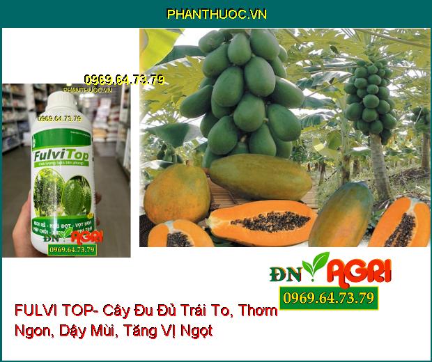 FULVI TOP- Ra Đọt, Vọt Hoa, Kích Rễ, Phì Trái, Xanh Lá Trên Cây Trồng