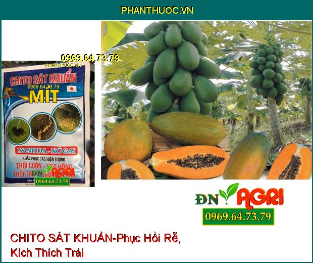 PHÂN BÓN VI LUỢNG CHITO SÁT KHUẨN-Phục Hồi Rễ, Kích Thích Trái