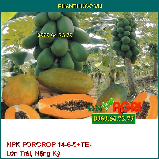 NPK FORCROP 14-6-5+TE - Thúc Ra Đọt, Lớn Trái, Nặng Ký