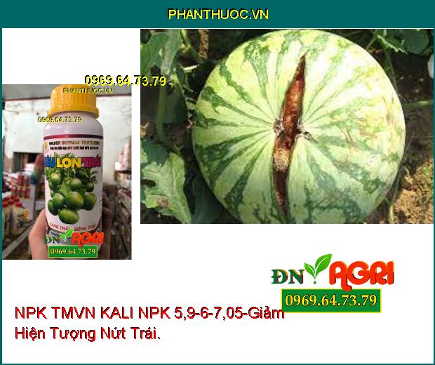 PHÂN BÓN HỖN HỢP NPK TMVN KALI NPK 5,9-6-7,05-Trái Lớn, Giảm Nứt Trái, Da Lu