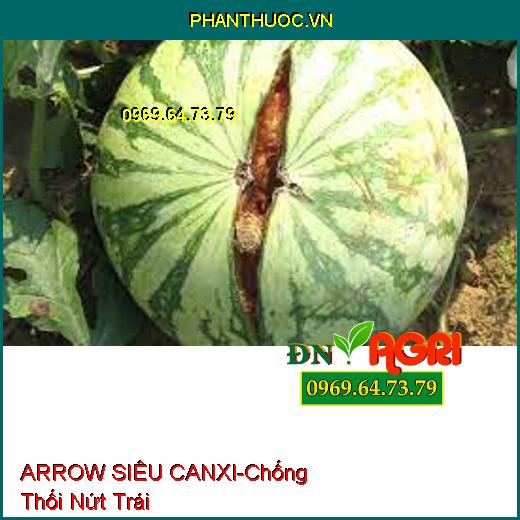 PHÂN BÓN LÁ TRUNG LƯỢNG ARROW SIÊU CANXI - Chống Thối Nứt Trái