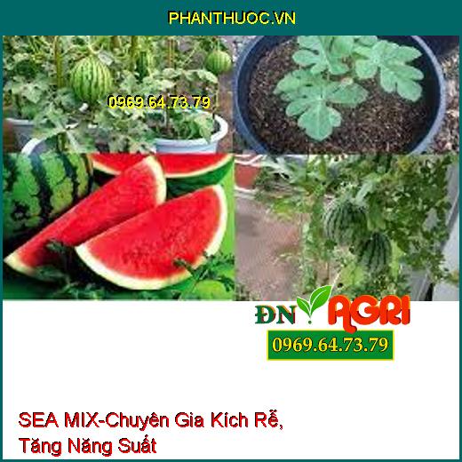 PHÂN BÓN LÁ SEA MIX - Chuyên Gia Kích Rễ, Tăng Năng Suất