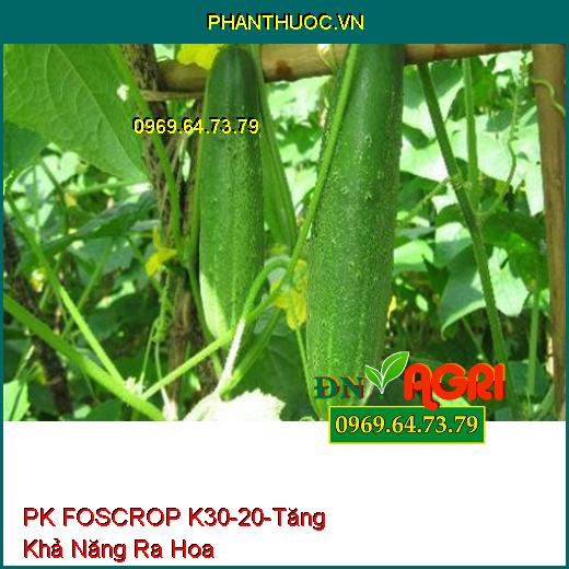 PK FOSCROP K 30-20 - Chặn Đọt, Tăng Khả Năng Ra Hoa, Tăng Thụ Phấn, Đậu Trái Non