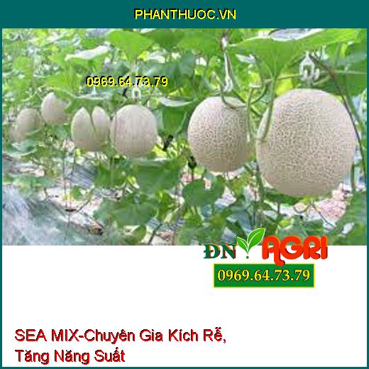 PHÂN BÓN LÁ SEA MIX - Chuyên Gia Kích Rễ, Tăng Năng Suất