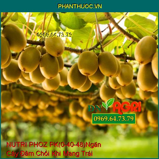 PHÂN BÓN LÁ HỖN HỢP NUTRI PHOZ PK (0-40-48) Ngăn Chặn Cây Đâm Chồi Khi Mang Trái