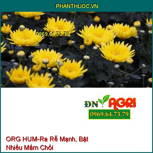 PHÂN BÓN LÁ TRUNG VI LƯỢNG ORG HUM – Ra Rễ Mạnh, Bật Nhiều Mầm Chồi