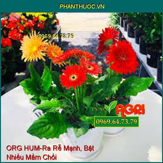 PHÂN BÓN LÁ TRUNG VI LƯỢNG ORG HUM – Ra Rễ Mạnh, Bật Nhiều Mầm Chồi