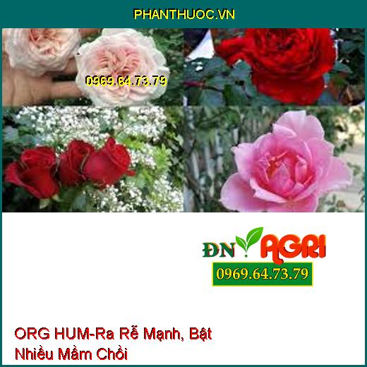 PHÂN BÓN LÁ TRUNG VI LƯỢNG ORG HUM – Ra Rễ Mạnh, Bật Nhiều Mầm Chồi