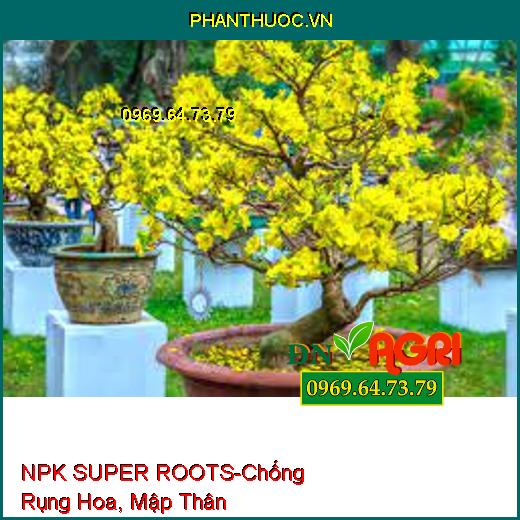 NPK SUPER ROOTS Sữa Dinh Dưỡng- Chống Rụng Hoa, Mập Thân, Dày Lá, Dày Hoa