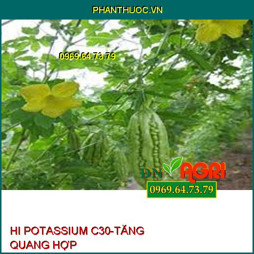 PHÂN BÓN LÁ HỮU CƠ KHOÁNG HI POTASSIUM C30 – TĂNG QUANG HỢP – TĂNG SỨC ĐỀ KHÁNG – TĂNG CHẤT LƯỢNG NÔNG SẢN