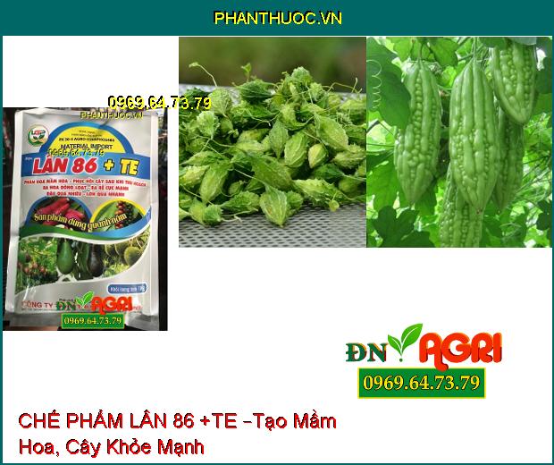 PHÂN BÓN HỖN HỢP CHẾ PHẨM LÂN 86 +TE –Kích Rễ Phát Triển, Giải Độc Hạ Phèn, Tạo Mầm Hoa