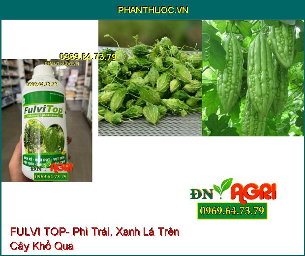 FULVI TOP- Ra Đọt, Vọt Hoa, Kích Rễ, Phì Trái, Xanh Lá Trên Cây Trồng