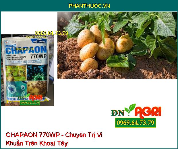 THUỐC TRỪ BỆNH CHAPAON 770WP - Chuyên Trị Vi Khuẩn Trên Khoai Tây