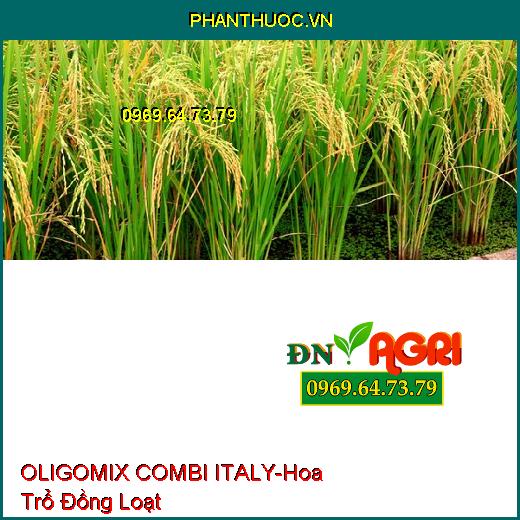 OLIGOMIX COMBI ITALY- Hoa Trổ Đồng Loạt, Tăng Đậu Trái, Chống Vàng Lá