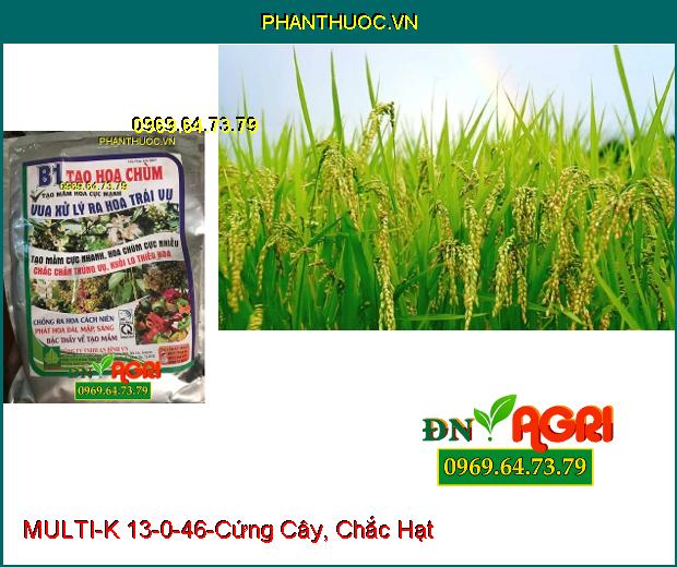 PHÂN BÓN LÁ CAO CẤP MULTI-K 13-0-46-Tăng Năng Suất, Tăng Độ Ngọt