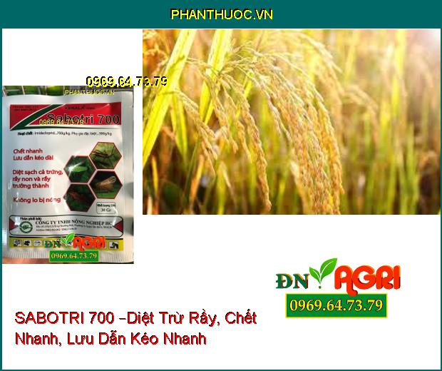 THUỐC TRỪ SÂU SABOTRI 700 –Chết Nhanh Lưu Dẫn Kéo Dài, Diệt Sạch Rầy