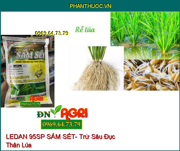 THUỐC TRỪ SÂU LEDAN 95SP SẤM SÉT- Thuốc Trừ Sâu Hại Trên Cây Trồng