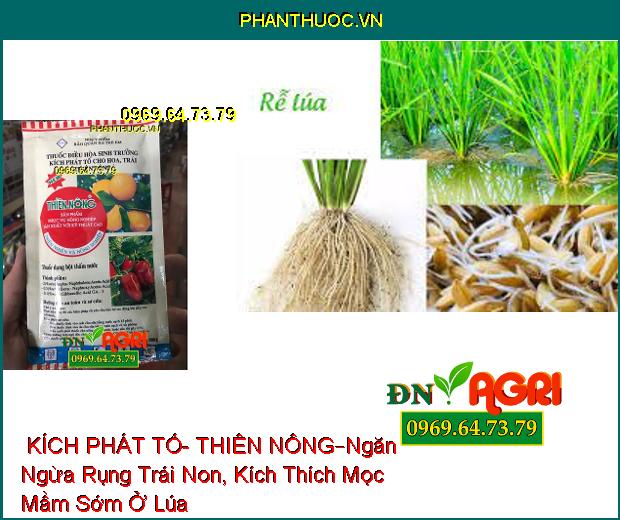 THUỐC ĐIỀU HÒA SINH TRƯỞNG KÍCH PHÁT TỐ – THIÊN NÔNG –Ngăn Ngừa Rụng Trái Non, Kích Thích Mọc Mầm Sớm Ở Lúa