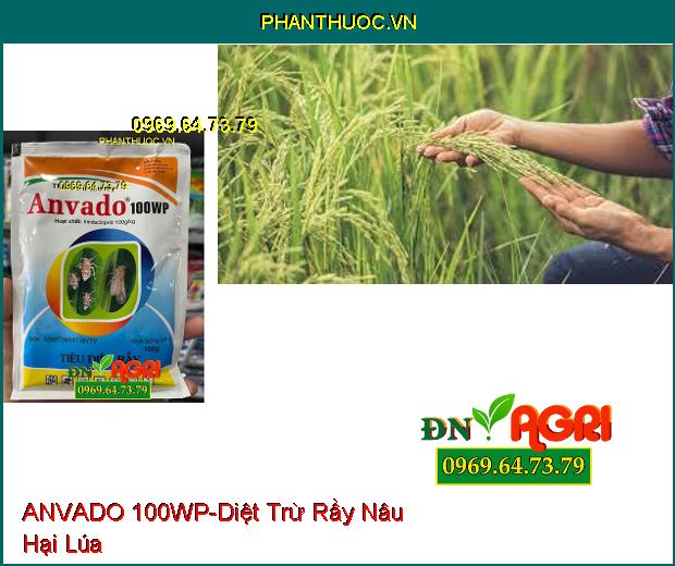 THUỐC TRỪ SÂU RẦY ANVADO 100WP – Tiêu Diệt Rầy Nâu, Trừ Sâu