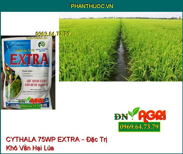 THUỐC TRỪ BỆNH CYTHALA 75WP EXTRA – Đặc Trị Nấm Bệnh Trên Cây Cà Phê, Đậu Tương, Ở Lúa