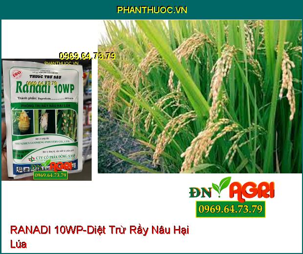 THUỐC TRỪ SÂU RANADI 10WP – Thuốc Trừ Sâu, Đặc Trị Rầy Nâu Hại Lúa