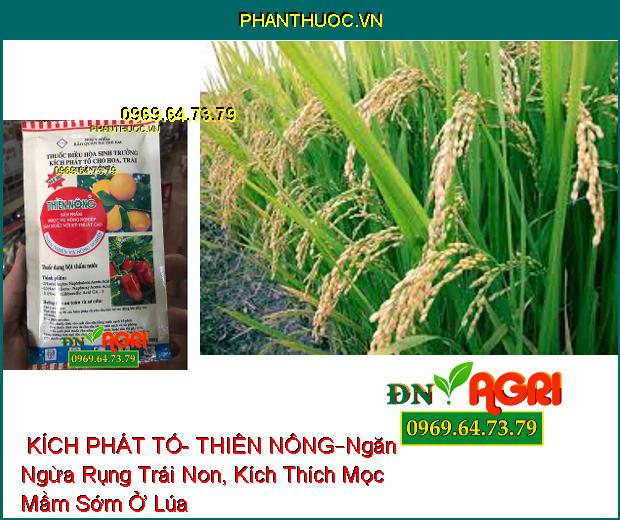 THUỐC ĐIỀU HÒA SINH TRƯỞNG KÍCH PHÁT TỐ – THIÊN NÔNG –Ngăn Ngừa Rụng Trái Non, Kích Thích Mọc Mầm Sớm Ở Lúa