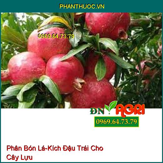 PHÂN BÓN LÁ KÍCH THÍCH RA HOA, ĐẬU TRÁI TỔNG HỢP