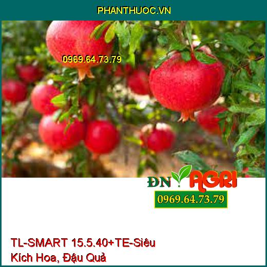 TL-SMART 15.5.40+te - Siêu Kích Hoa, Đậu Quả Đồng Loạt