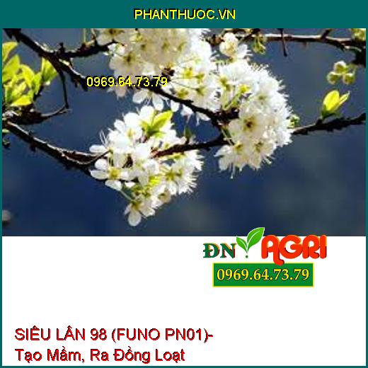 SIÊU LÂN 98 (FUNO PN01)- Chuyên Gia Tạo Mầm, Ra Đồng Loạt, Chắc Chắn