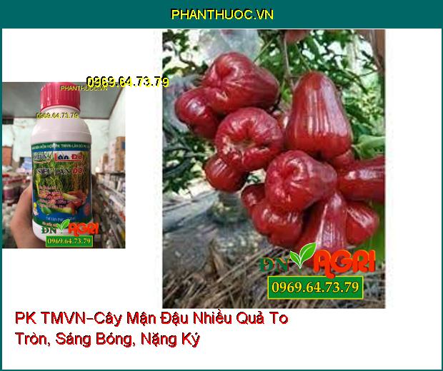 PHÂN BÓN HỖN HỢP PK TMVN –Bông Trổ To Đẹp, Chắc Hạt, Phòng Bệnh Đốm Vàng