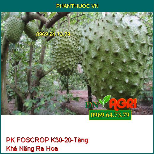 PK FOSCROP K 30-20 - Chặn Đọt, Tăng Khả Năng Ra Hoa, Tăng Thụ Phấn, Đậu Trái Non